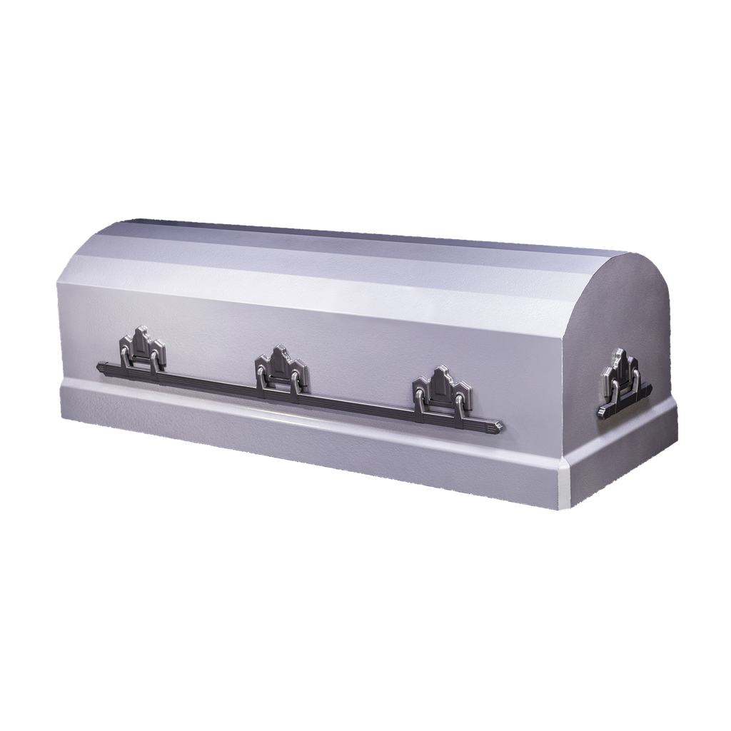 12g 48" Wise Silver Vault