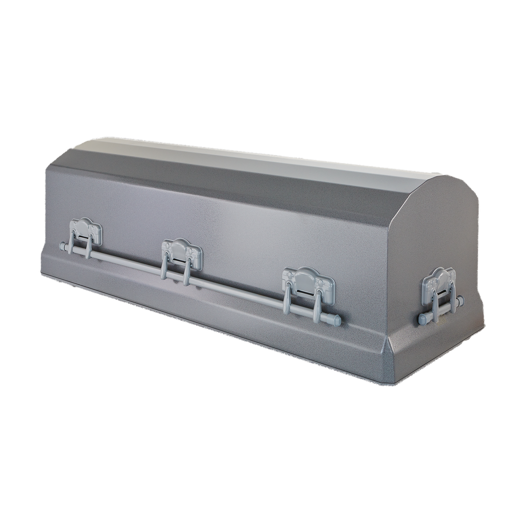 12ga Wise Silver Vault