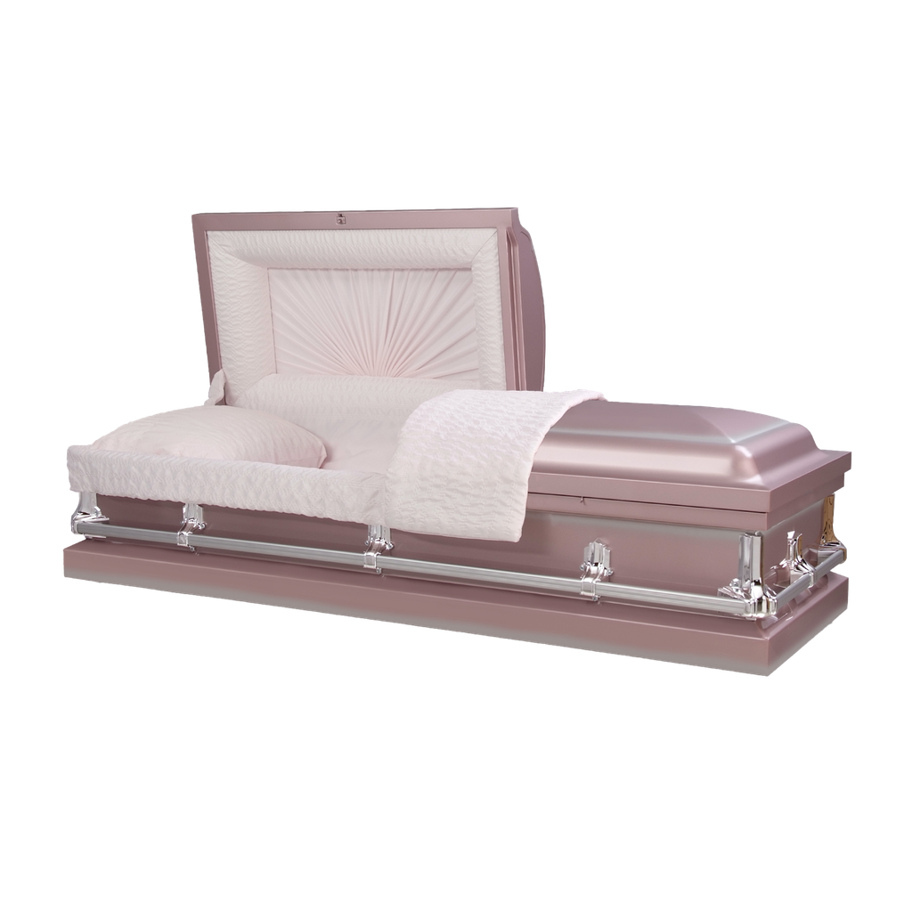 20ga NG Jackson Orchid