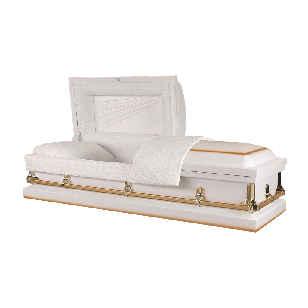 20ga NG Jackson White/Gold