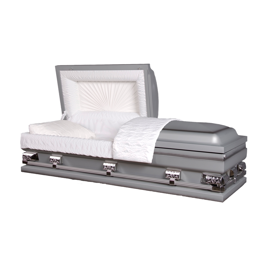 29" Extra Silver ECL